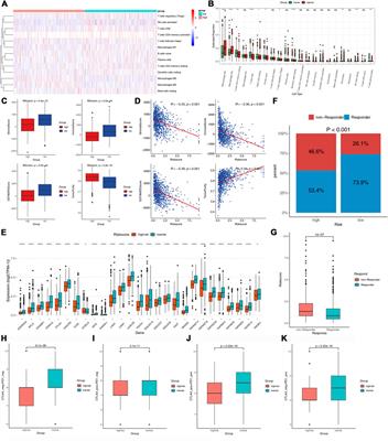 A lactate-related LncRNA model for predicting prognosis, immune landscape and therapeutic response in breast cancer